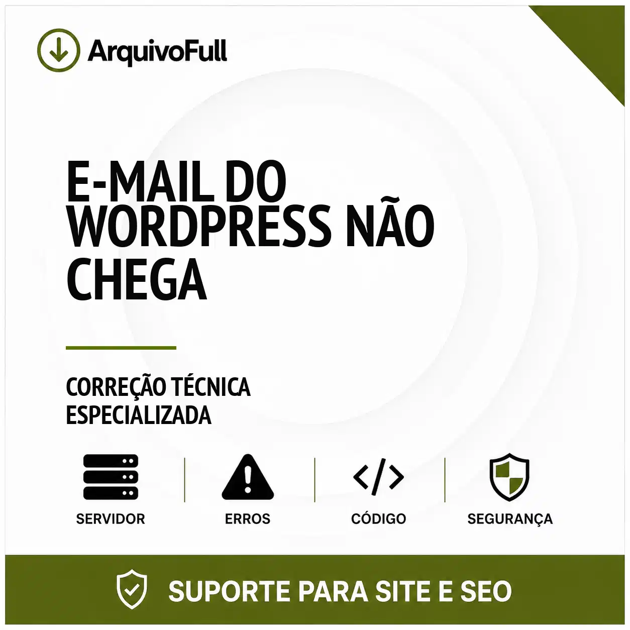 Suporte profissional para e-mail do WordPress Não Chega