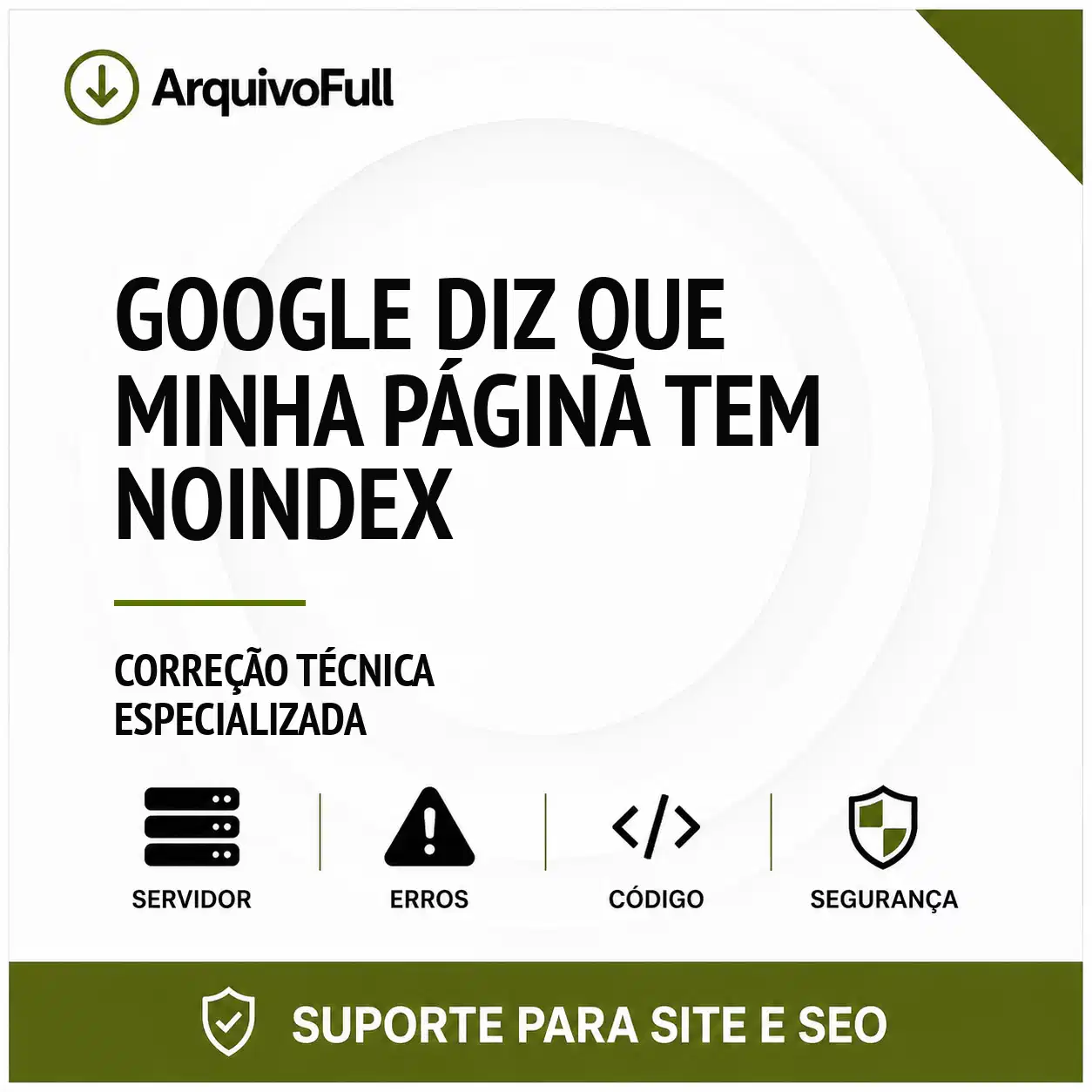 Suporte profissional para google Diz que Minha Página Tem Noindex