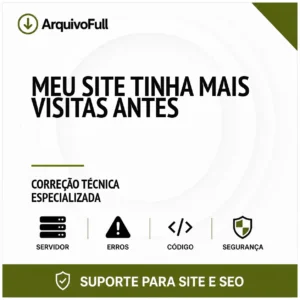 Suporte profissional para meu Site Tinha Mais Visitas Antes