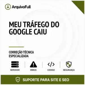 Suporte profissional para meu Tráfego do Google Caiu