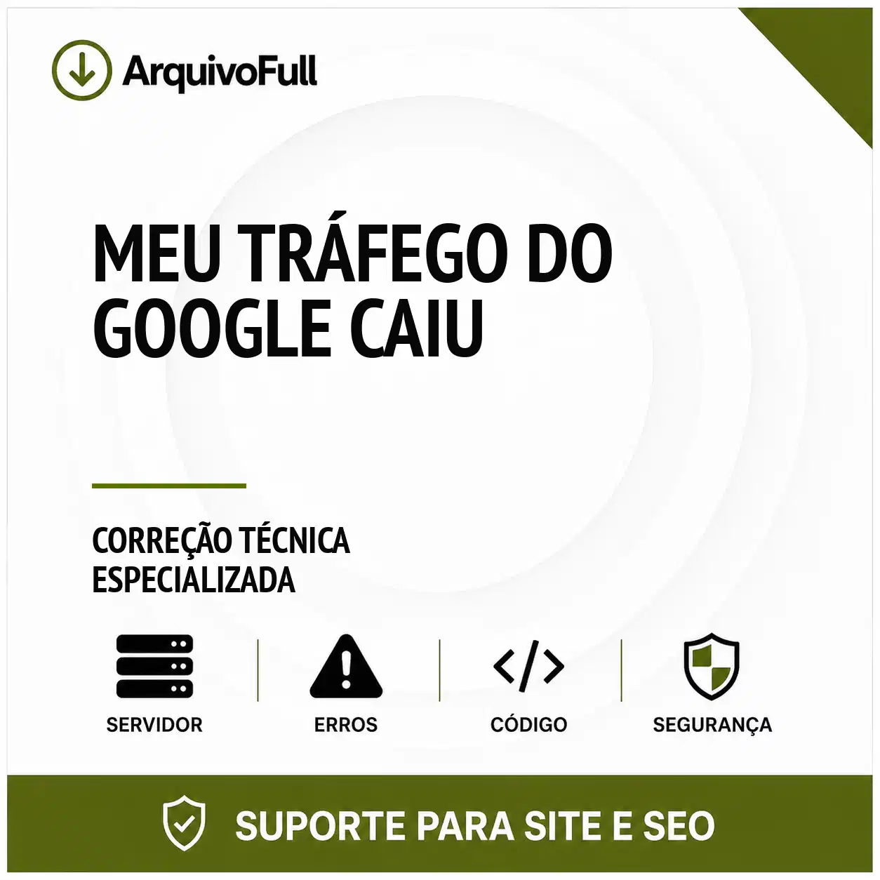 Suporte profissional para meu Tráfego do Google Caiu