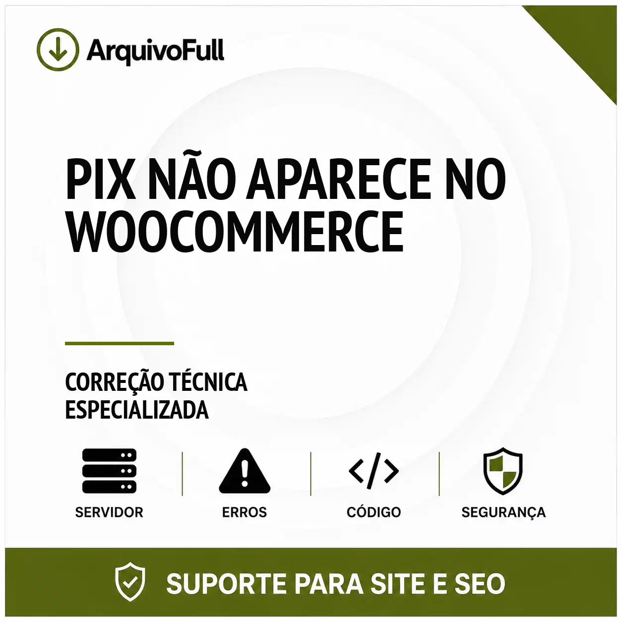 Suporte profissional para pIX Não Aparece no WooCommerce