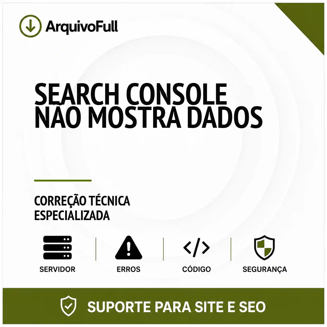Suporte profissional para search Console Não Mostra Dados