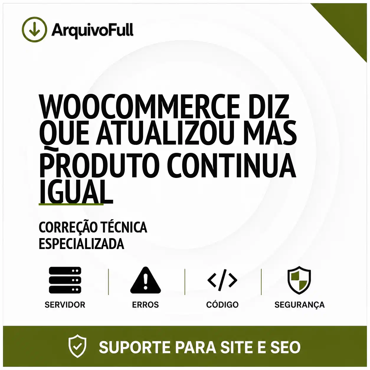 Suporte profissional para wooCommerce Diz que Atualizou Mas Produto Continua Igual