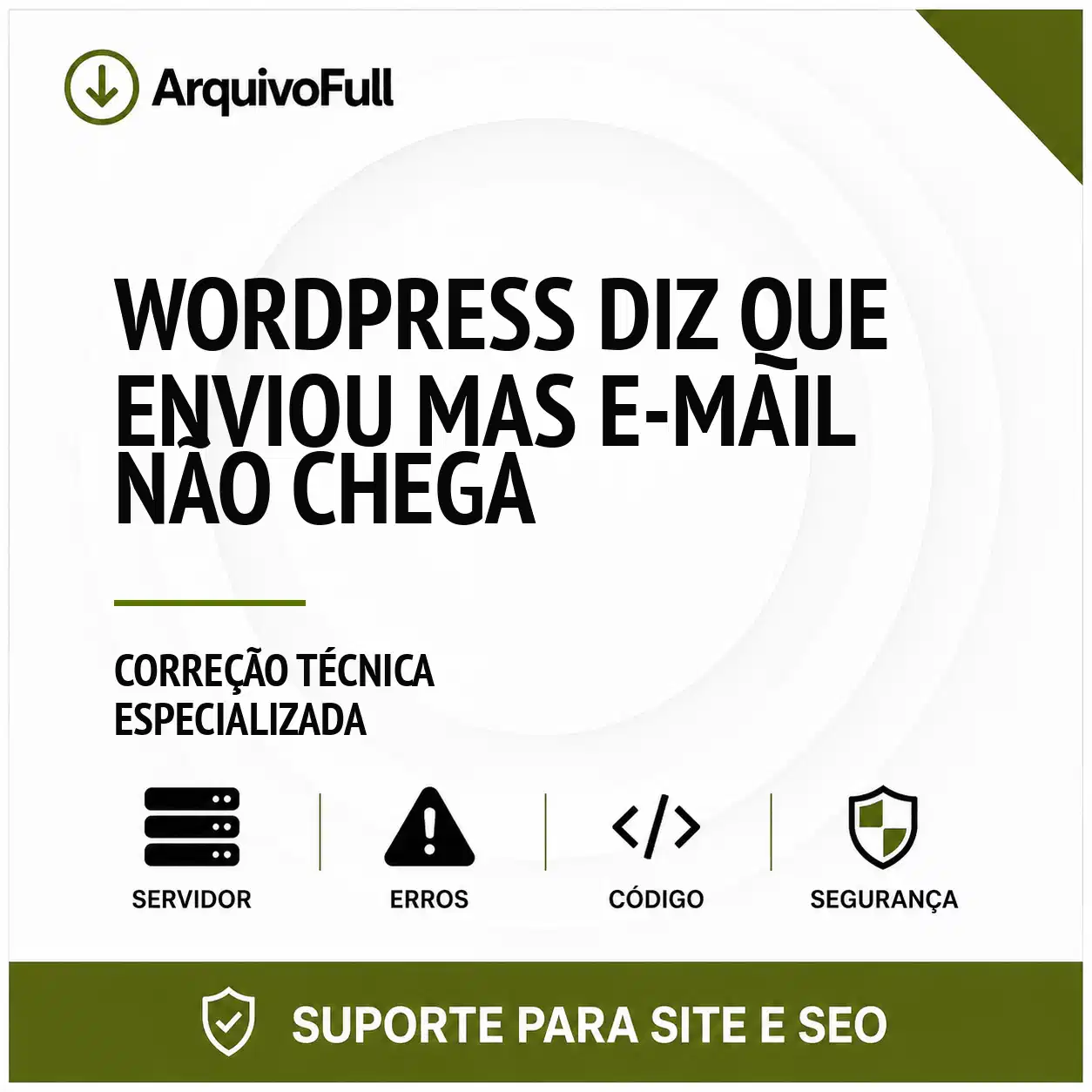 Suporte profissional para wordPress Diz que Enviou Mas e-mail Não Chega