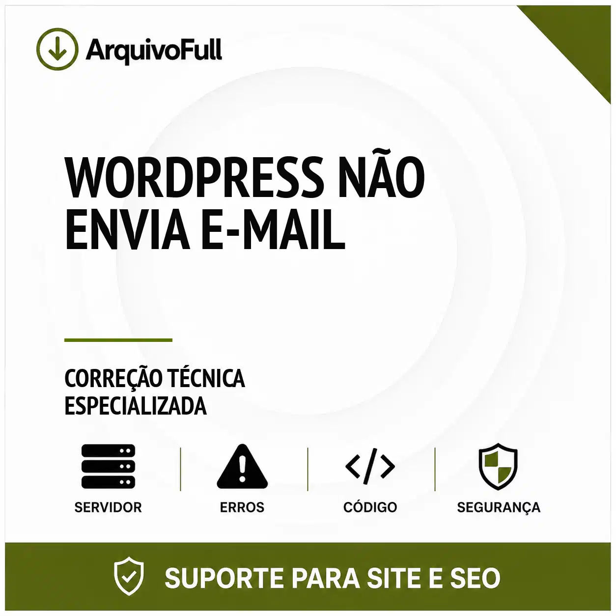 Suporte profissional para wordPress Não Envia e-mail